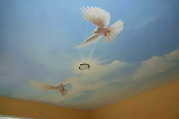 натяжной потолок с птицами