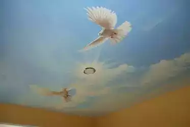натяжной потолок с птицами