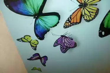 натяжной потолок с бабочками фото