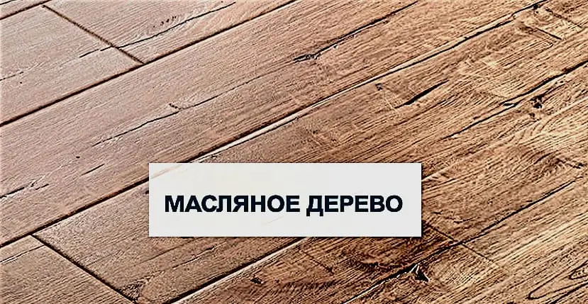 рисунок ламината масляное дерево